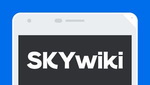 SKYwiki banner temp.jpg